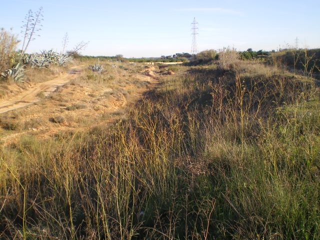 BARRANC DE LES BASSES